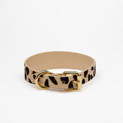 Dunne Hondenhalsband Luipaard