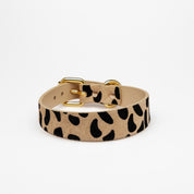 Dunne Hondenhalsband Luipaard
