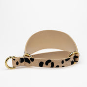 Leopard Honden Martingale Breed