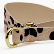 Leopard Honden Martingale Breed