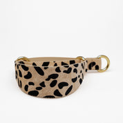 Leopard Honden Martingale Breed
