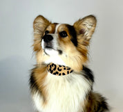 Breed Hondenhalsband Breed