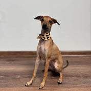 Breed Hondenhalsband Breed