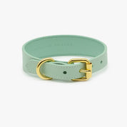 Dunne Mintkleurige Hondenhalsband