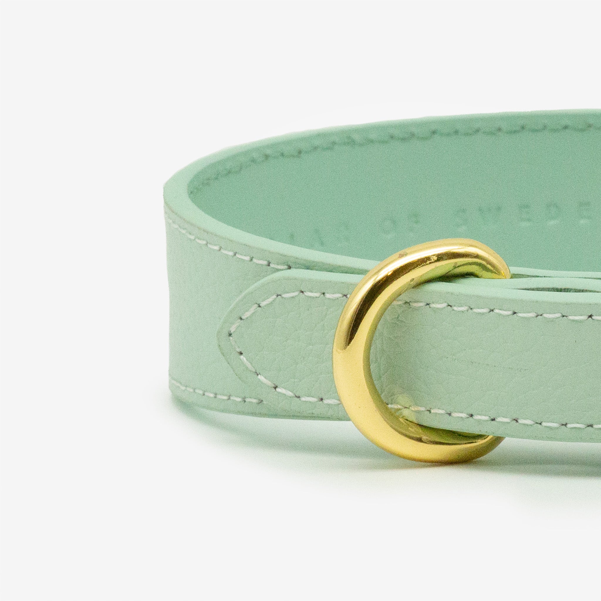 Dunne Mintkleurige Hondenhalsband
