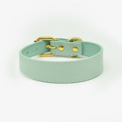 Dunne Mintkleurige Hondenhalsband