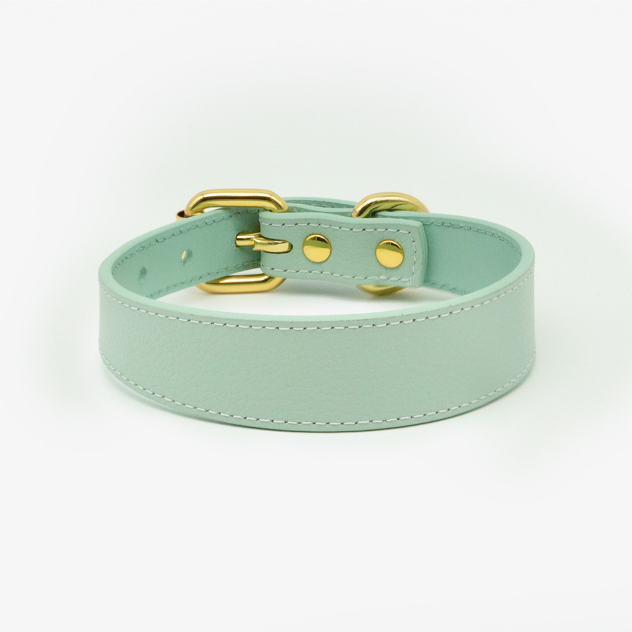 Dunne Mintkleurige Hondenhalsband