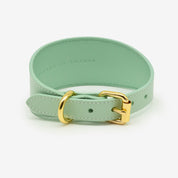 Mintgroene Hondenhalsband Breed