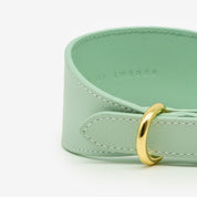 Mintgroene Hondenhalsband Breed