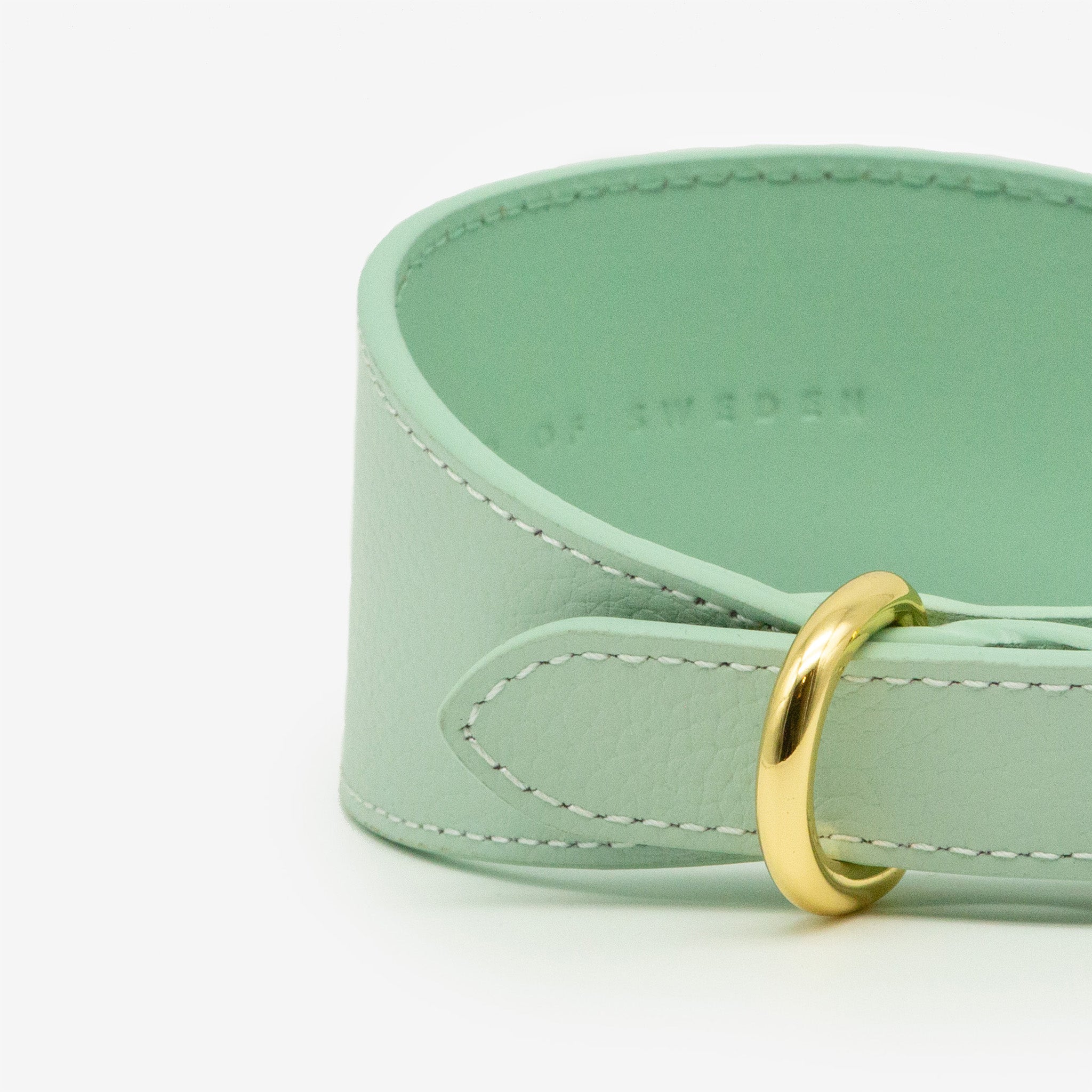 Mintgroene Hondenhalsband Breed