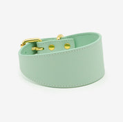 Mintgroene Hondenhalsband Breed