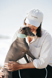 Mintgroene Hondenhalsband Breed