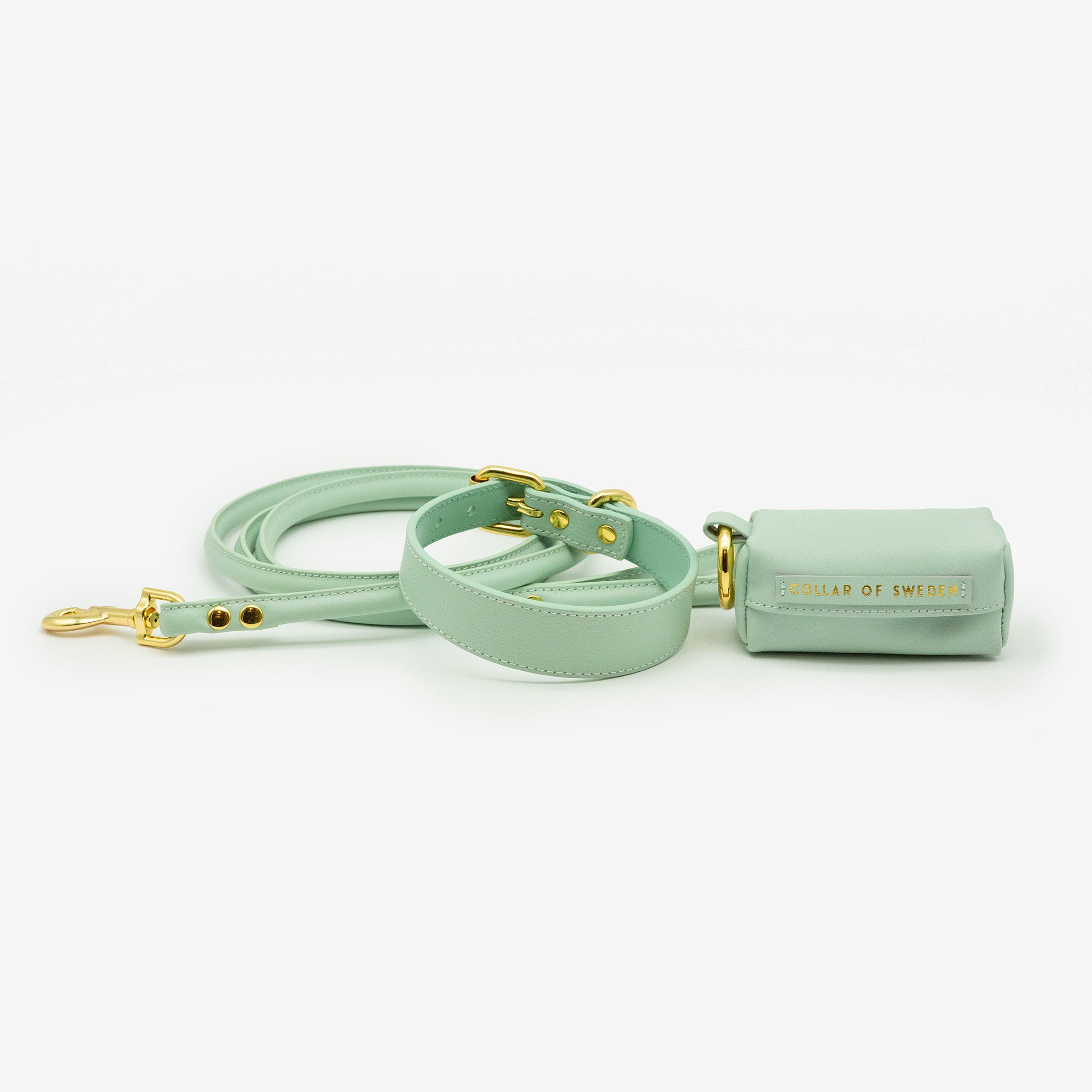 Dunne Mintkleurige Hondenhalsband
