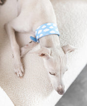 Wolken Hondenhalsband Breed