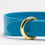 Dunne Neonblauwe Hondenhalsband