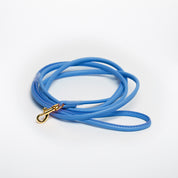Neonblauwe hondenriem