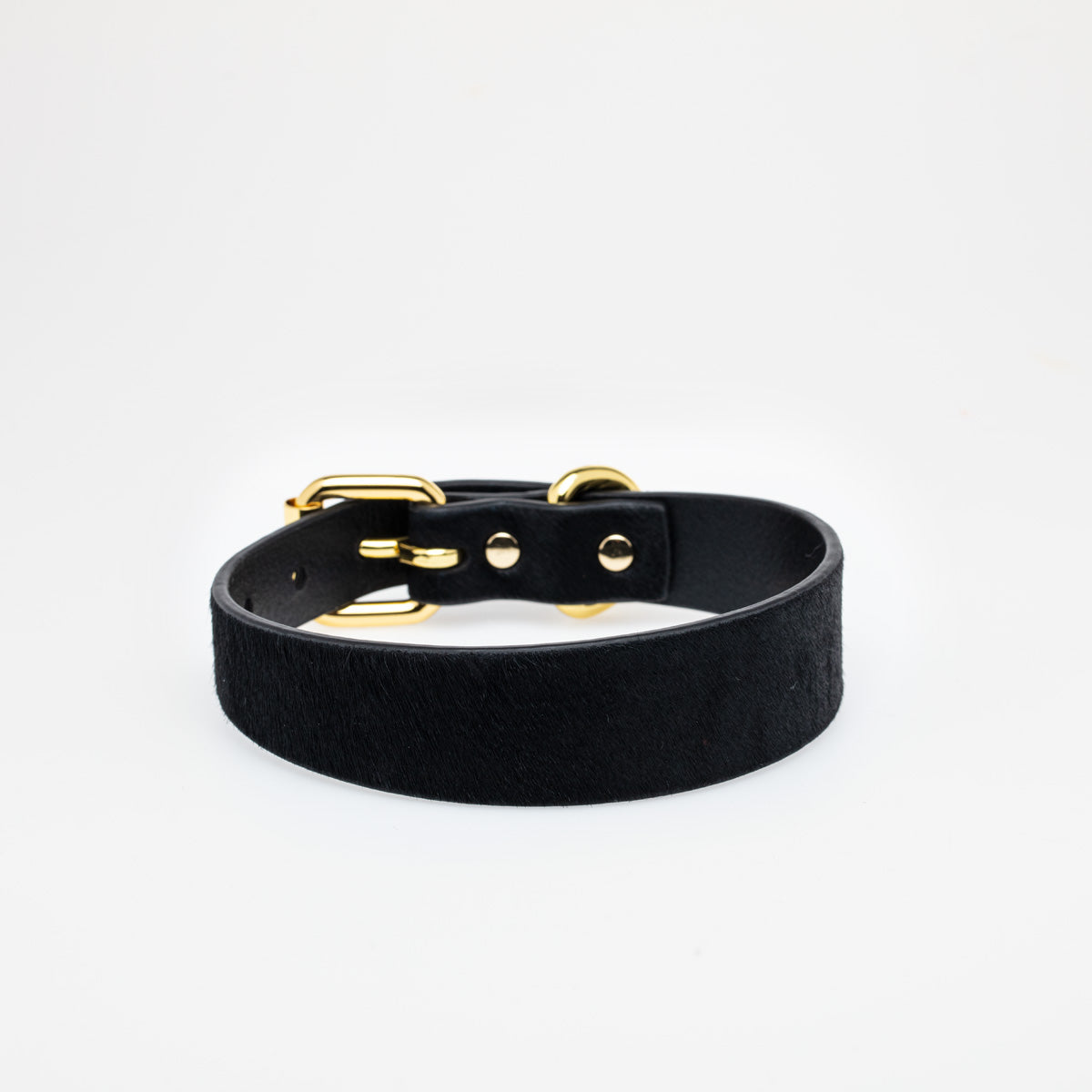 Panter Hondenhalsband Dun