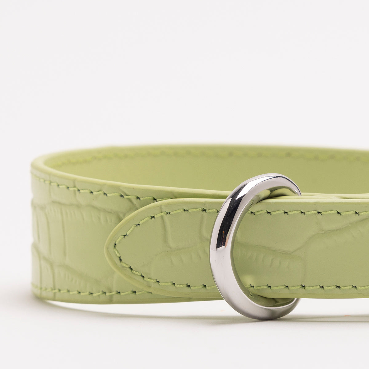 Pastelgroene Croco Hondenhalsband Dun