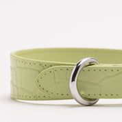 Pastelgroene Croco Hondenhalsband Dun