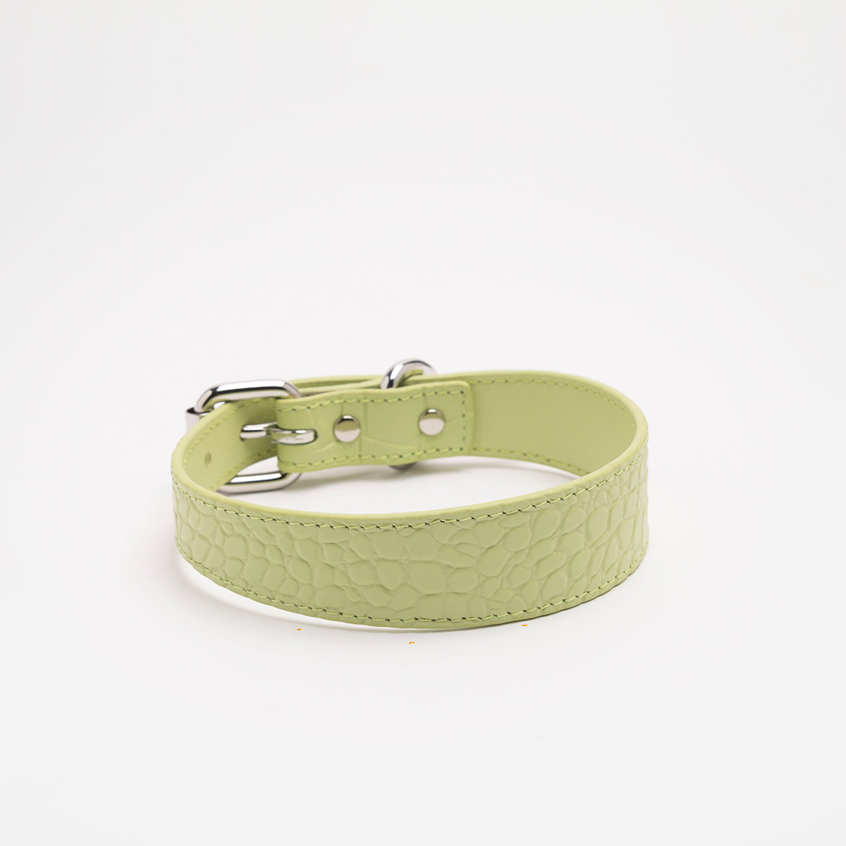 Pastelgroene Croco Hondenhalsband Dun