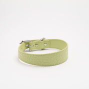 Pastelgroene Croco Hondenhalsband Dun