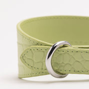 Pastelgroene Croco Hondenhalsband Breed