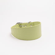 Pastelgroene Croco Hondenhalsband Breed