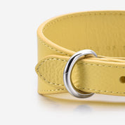 Pastelgele Brede Hondenhalsband
