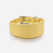 Pastelgele Brede Hondenhalsband