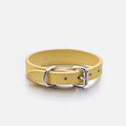 Pastelgele Hondenhalsband Dun