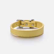 Pastelgele Hondenhalsband Dun