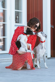 Pure Rode Gevlochten Hondenhalsband Breed