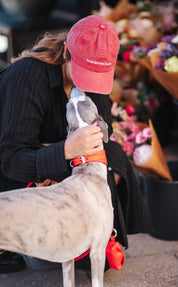 Rode Spijkerstof Pet - Dogs Before Dudes