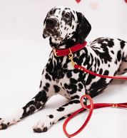 Rode Brede Hondenhalsband