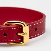 Dunne Rode Hondenhalsband