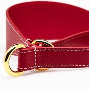 Rode Honden Martingale Breed