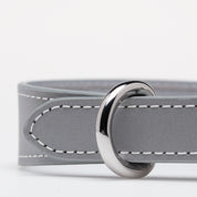 Reflecterende Zilveren Dunne Hondenhalsband