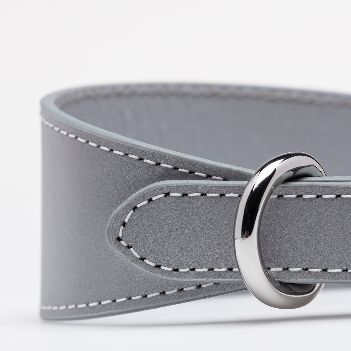 Reflecterende Zilveren Hondenhalsband Breed