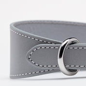 Reflecterende Zilveren Hondenhalsband Breed