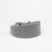Reflecterende Zilveren Hondenhalsband Breed