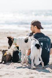 Zwart T-shirt - Dogs & Wine Make Everything Fine