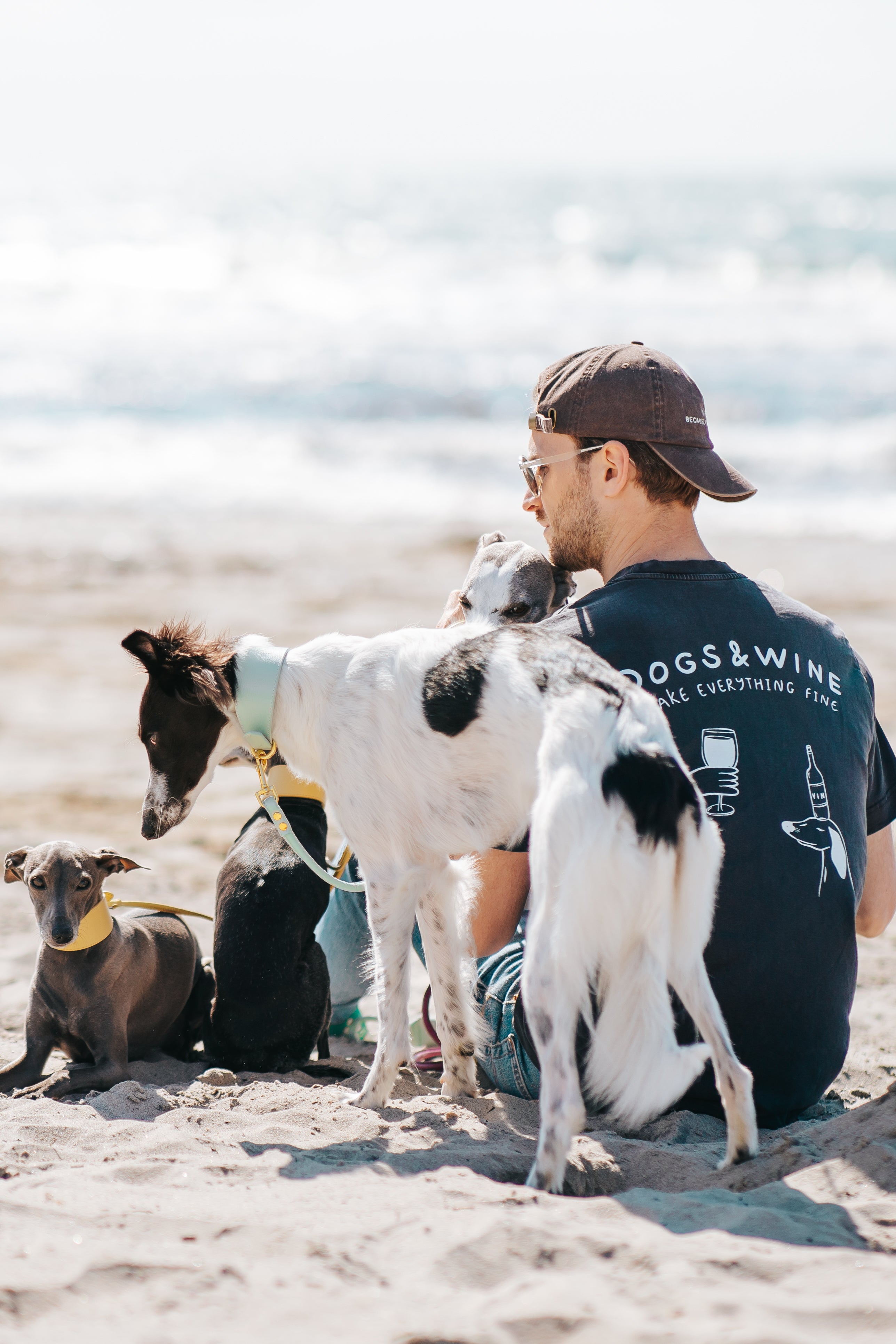Zwart T-shirt - Dogs & Wine Make Everything Fine