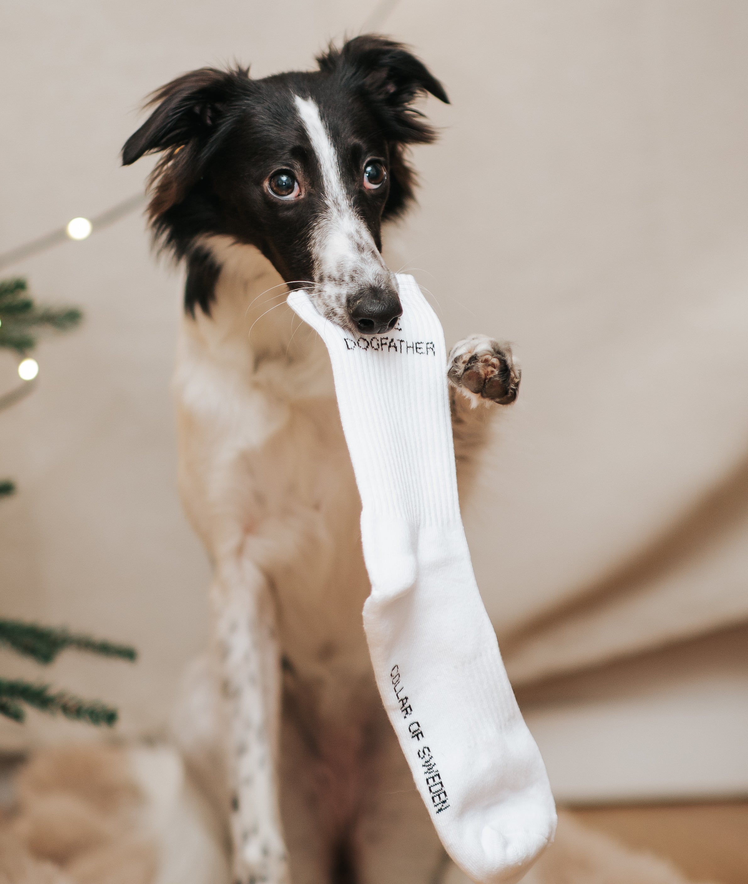 Witte Tube Sokken - The Dogfather