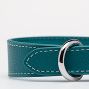 Dunne turquoise hondenhalsband