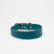 Dunne turquoise hondenhalsband