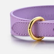 Dunne Violet Hondenhalsband