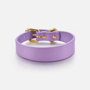 Dunne Violet Hondenhalsband