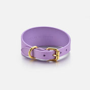 Breed Violet Hondenhalsband