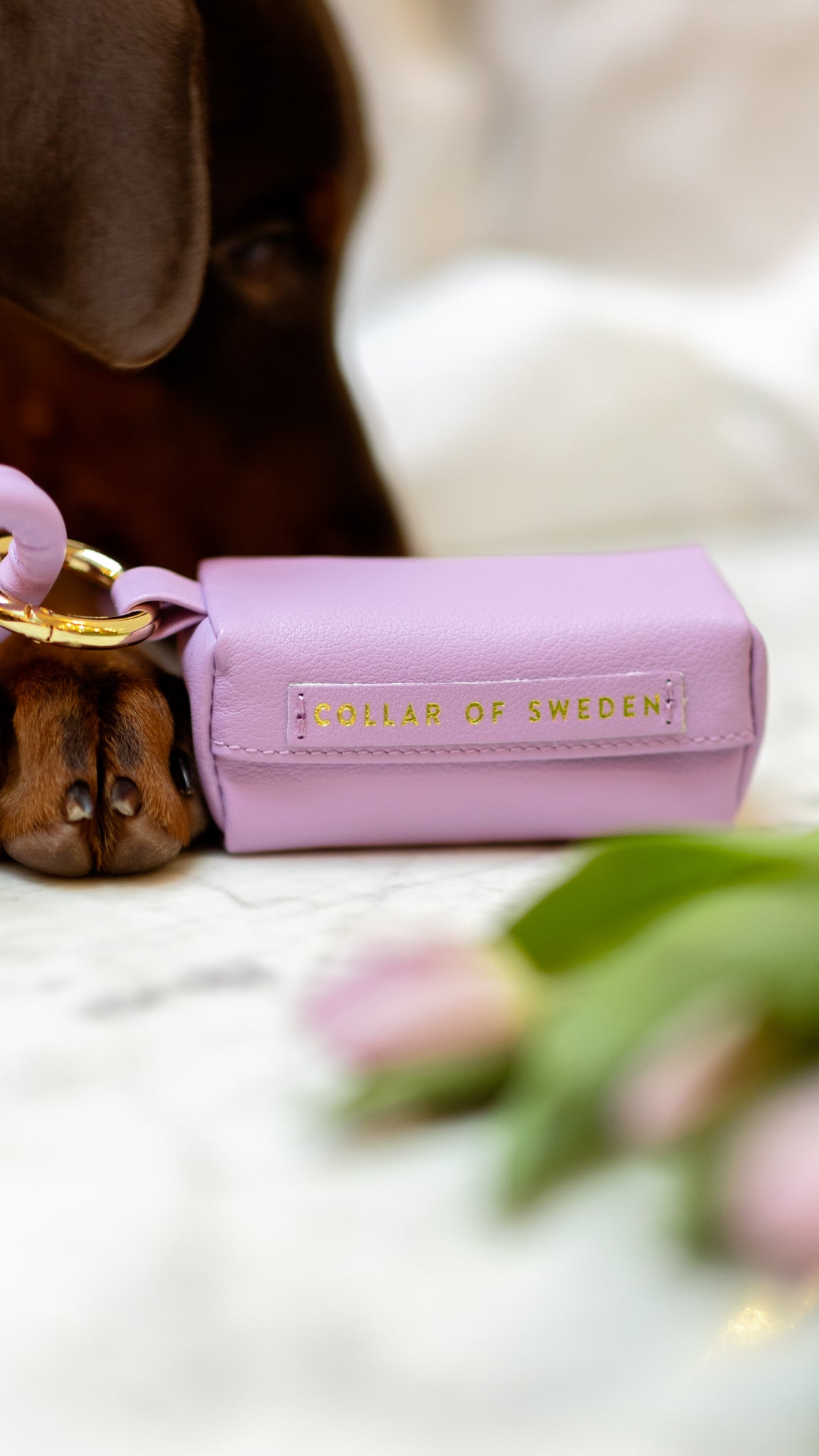 Violet Poepzakhouder