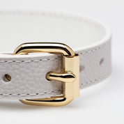 Dunne Witte Hondenhalsband